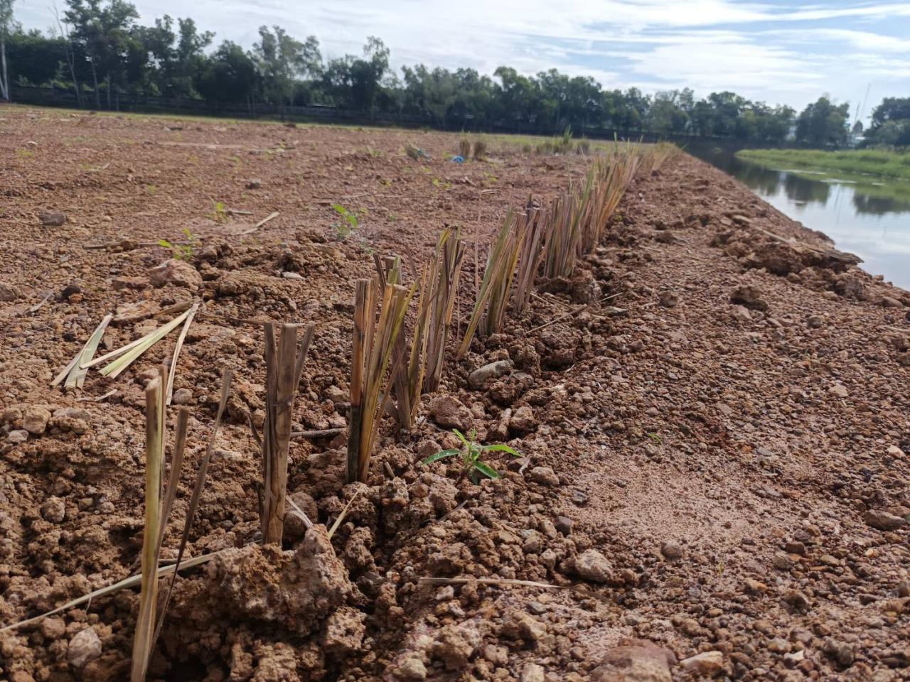 ภาพประกอบที่ 6