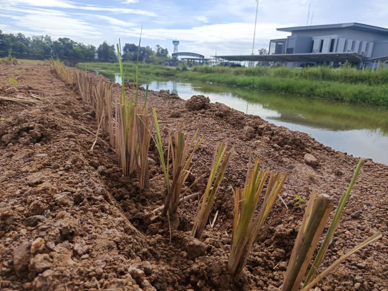ภาพประกอบที่ 7