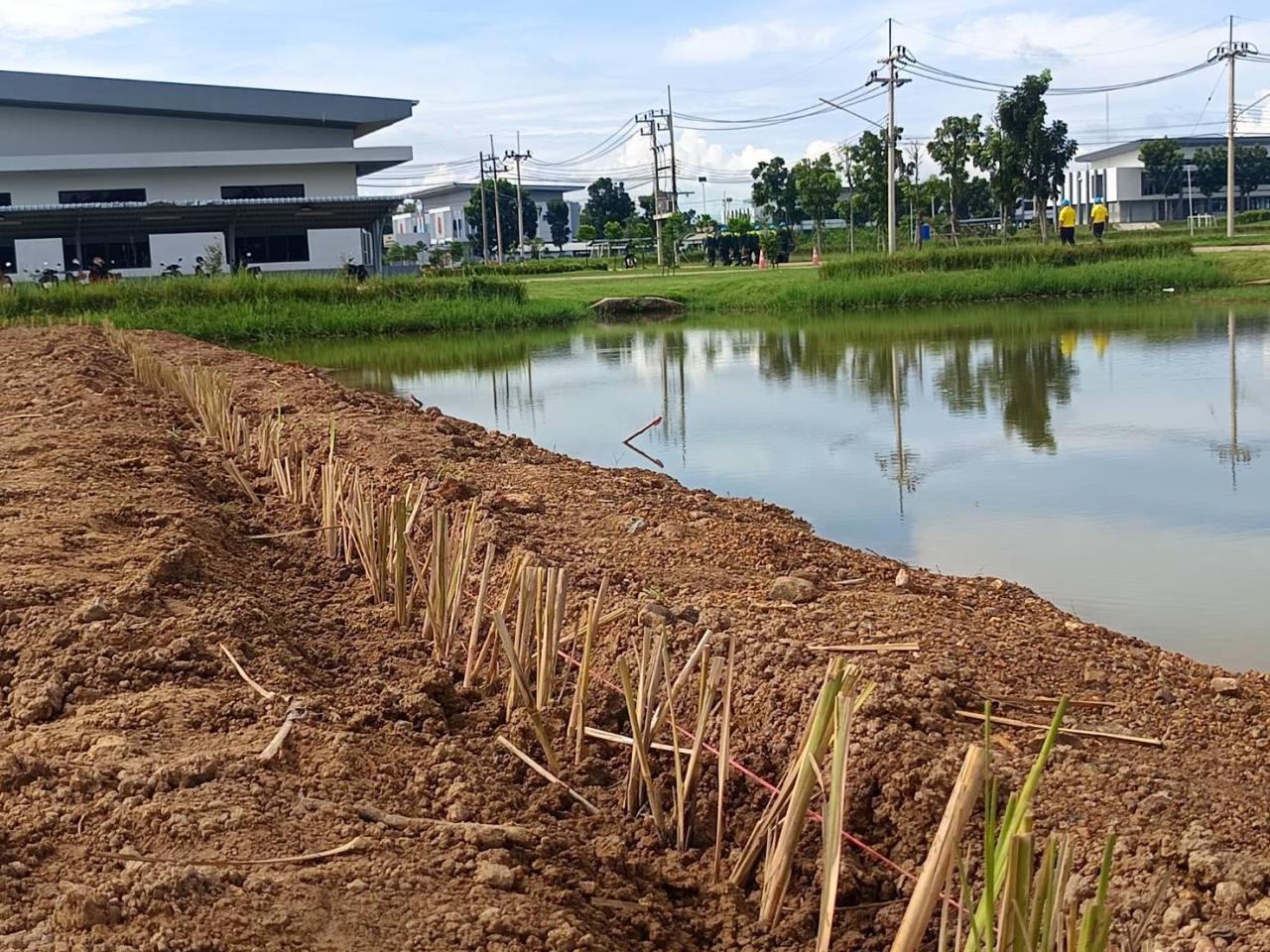 ภาพประกอบที่ 8