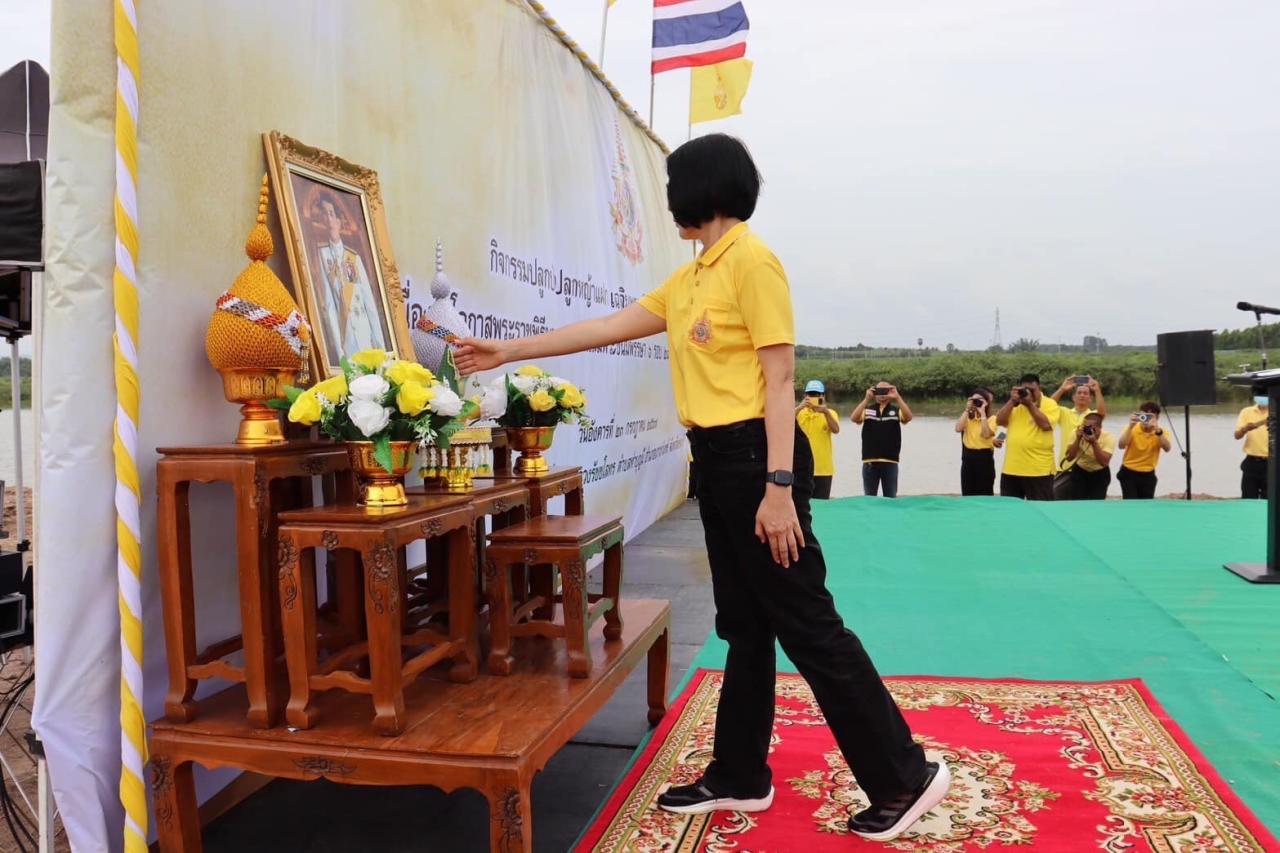 ภาพประกอบที่ 0