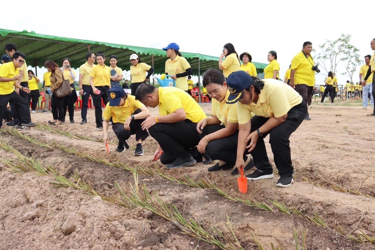 ภาพประกอบที่ 7