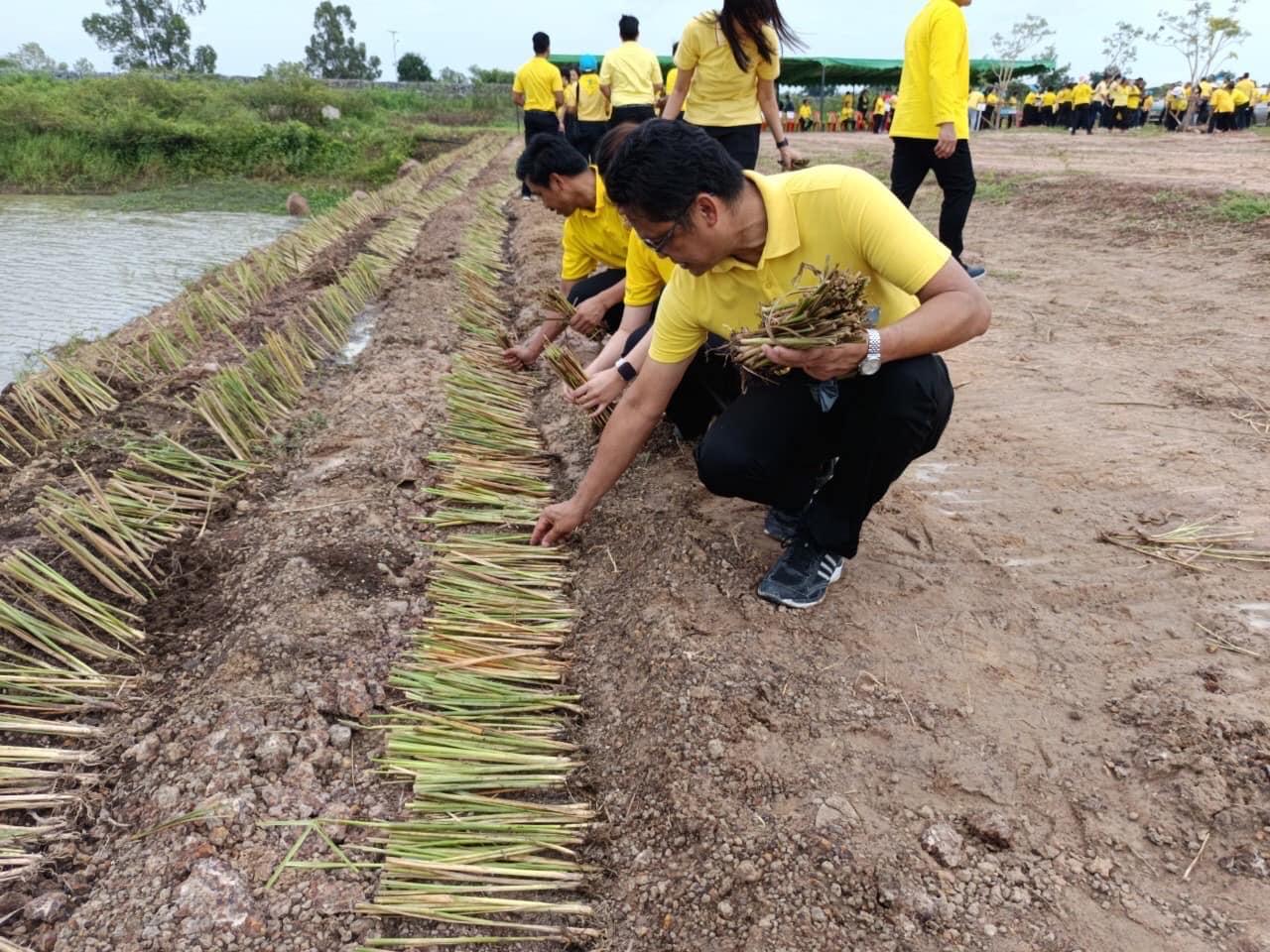 ภาพประกอบที่ 8