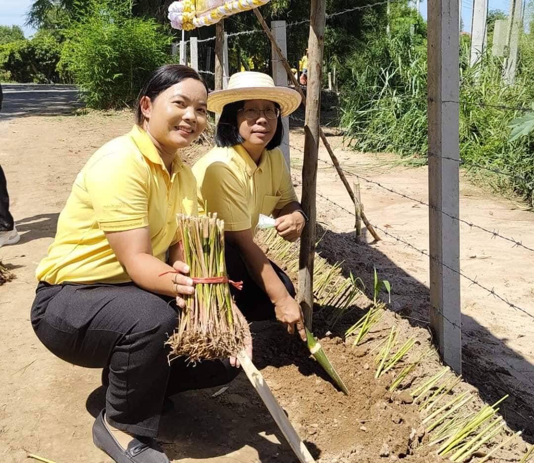 ภาพประกอบที่ 10