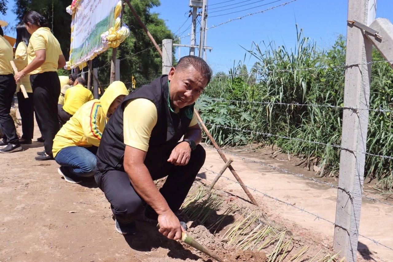 ภาพประกอบที่ 11