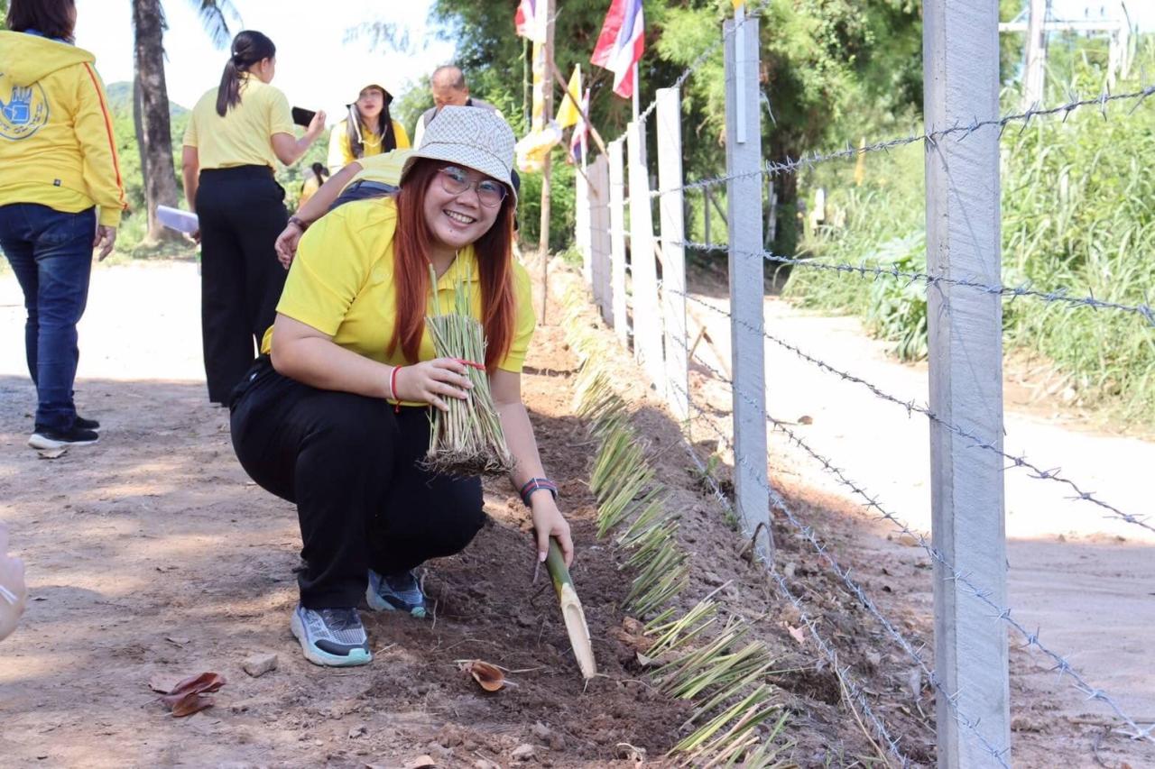 ภาพประกอบที่ 13