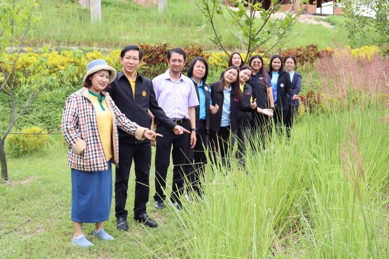 ภาพประกอบที่ 1