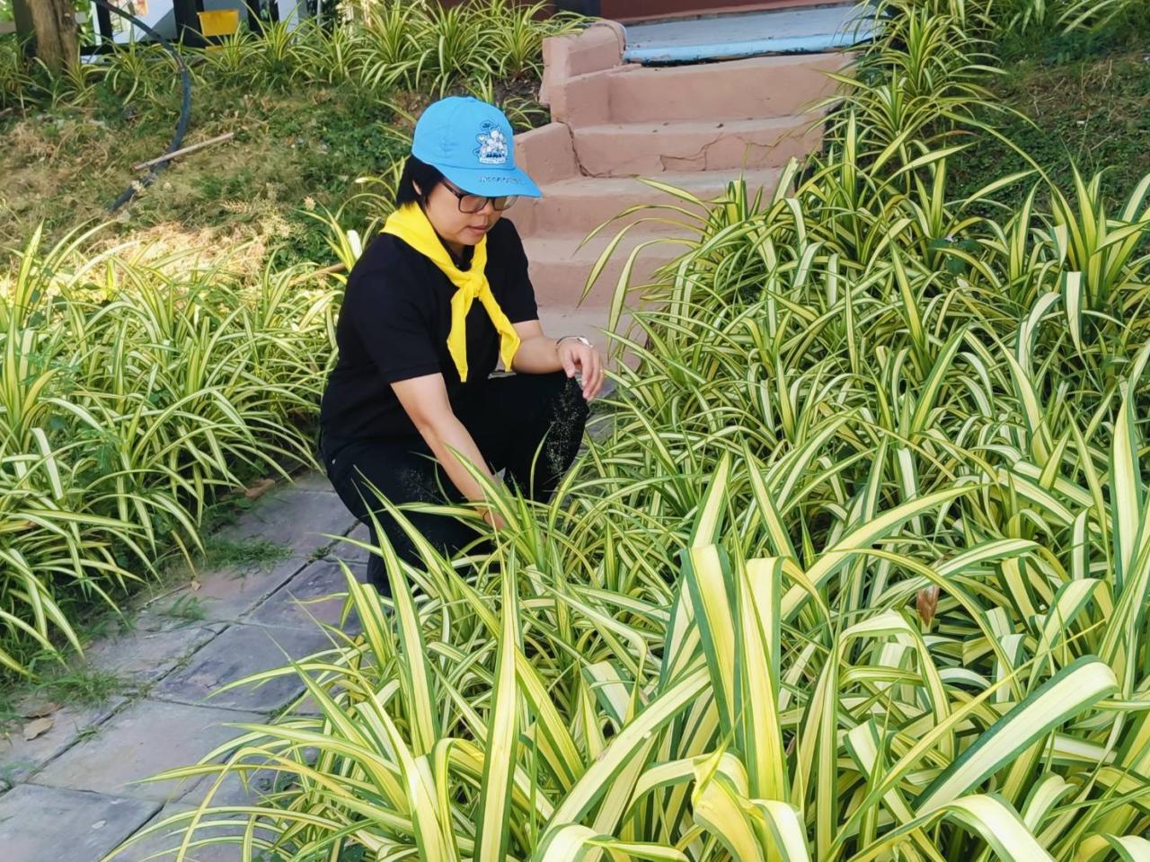 ภาพประกอบที่ 8