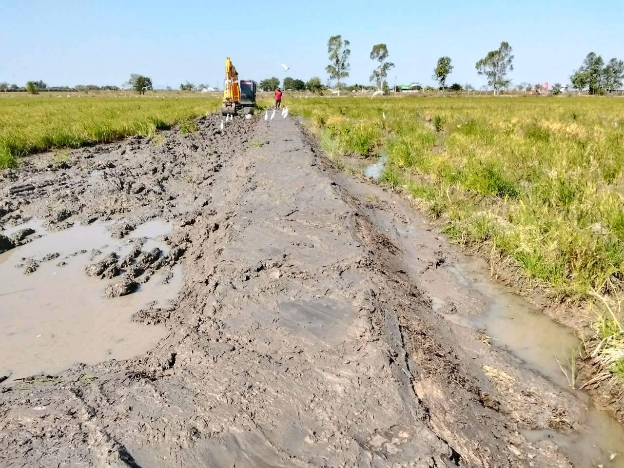 ภาพประกอบที่ 5