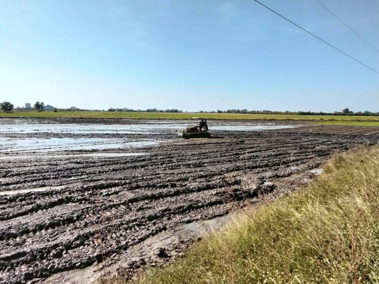 ภาพประกอบที่ 6