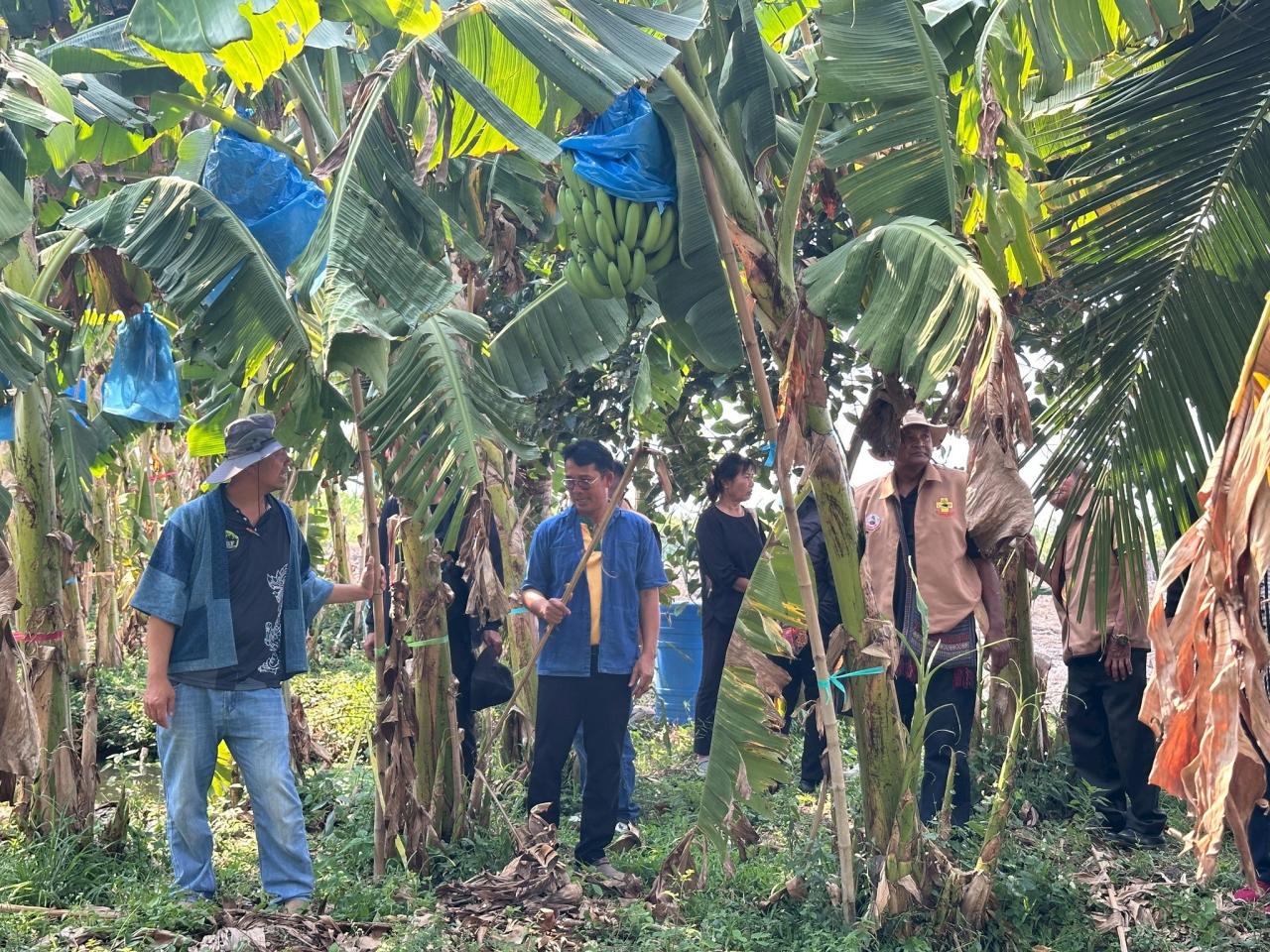 ภาพประกอบที่ 3