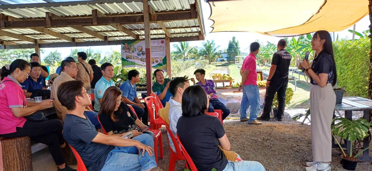 ภาพประกอบที่ 3