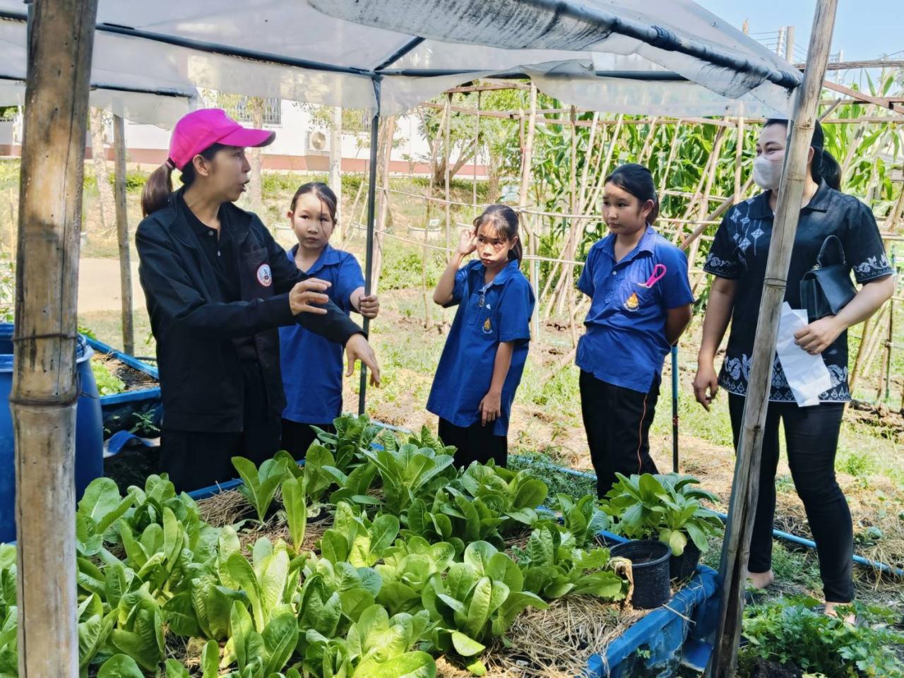 ภาพประกอบที่ 1