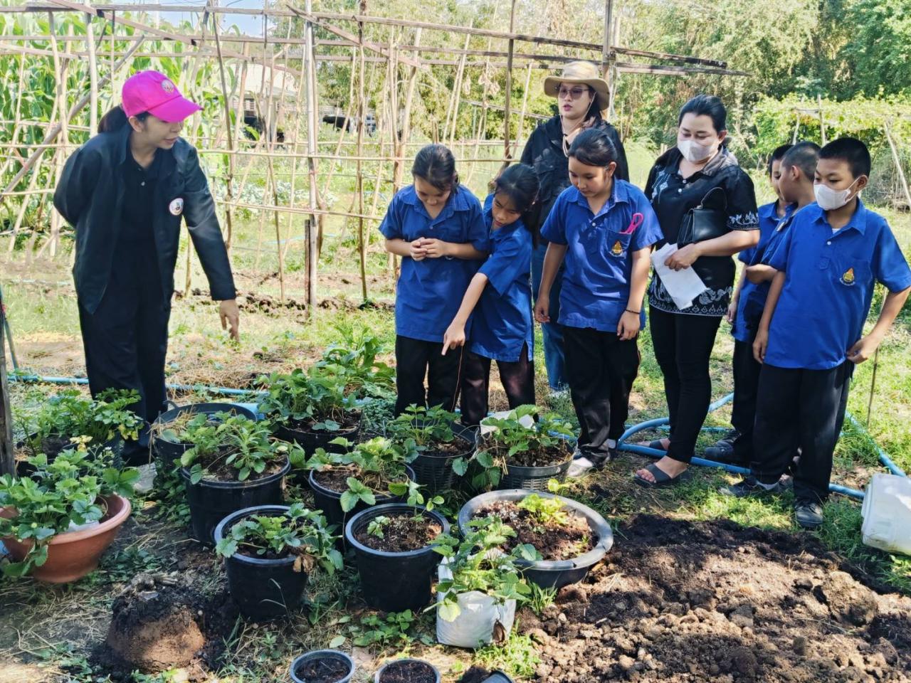 ภาพประกอบที่ 2