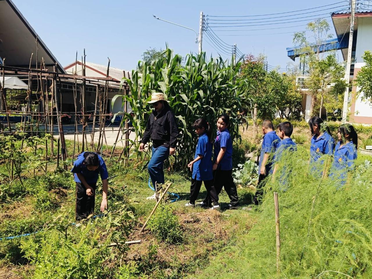 ภาพประกอบที่ 3