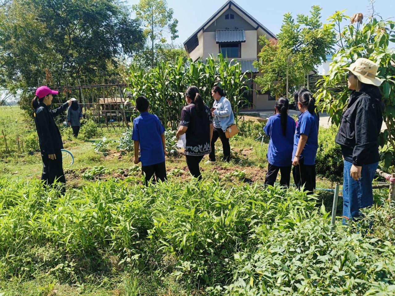 ภาพประกอบที่ 4