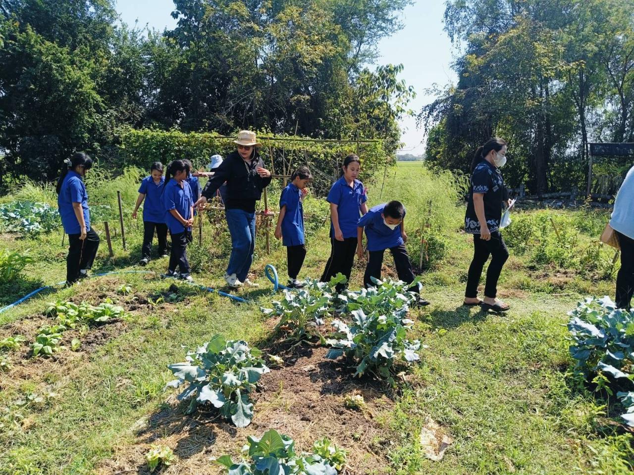 ภาพประกอบที่ 5