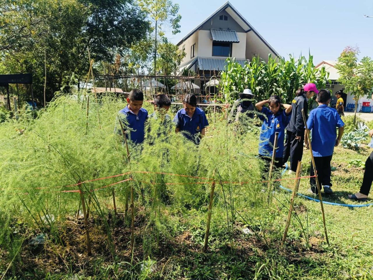 ภาพประกอบที่ 6
