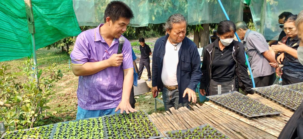 ภาพประกอบที่ 3