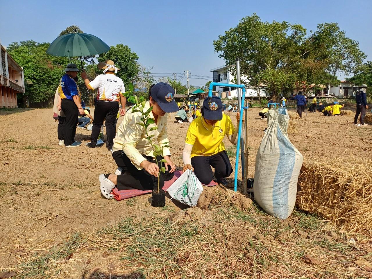 ภาพประกอบที่ 2