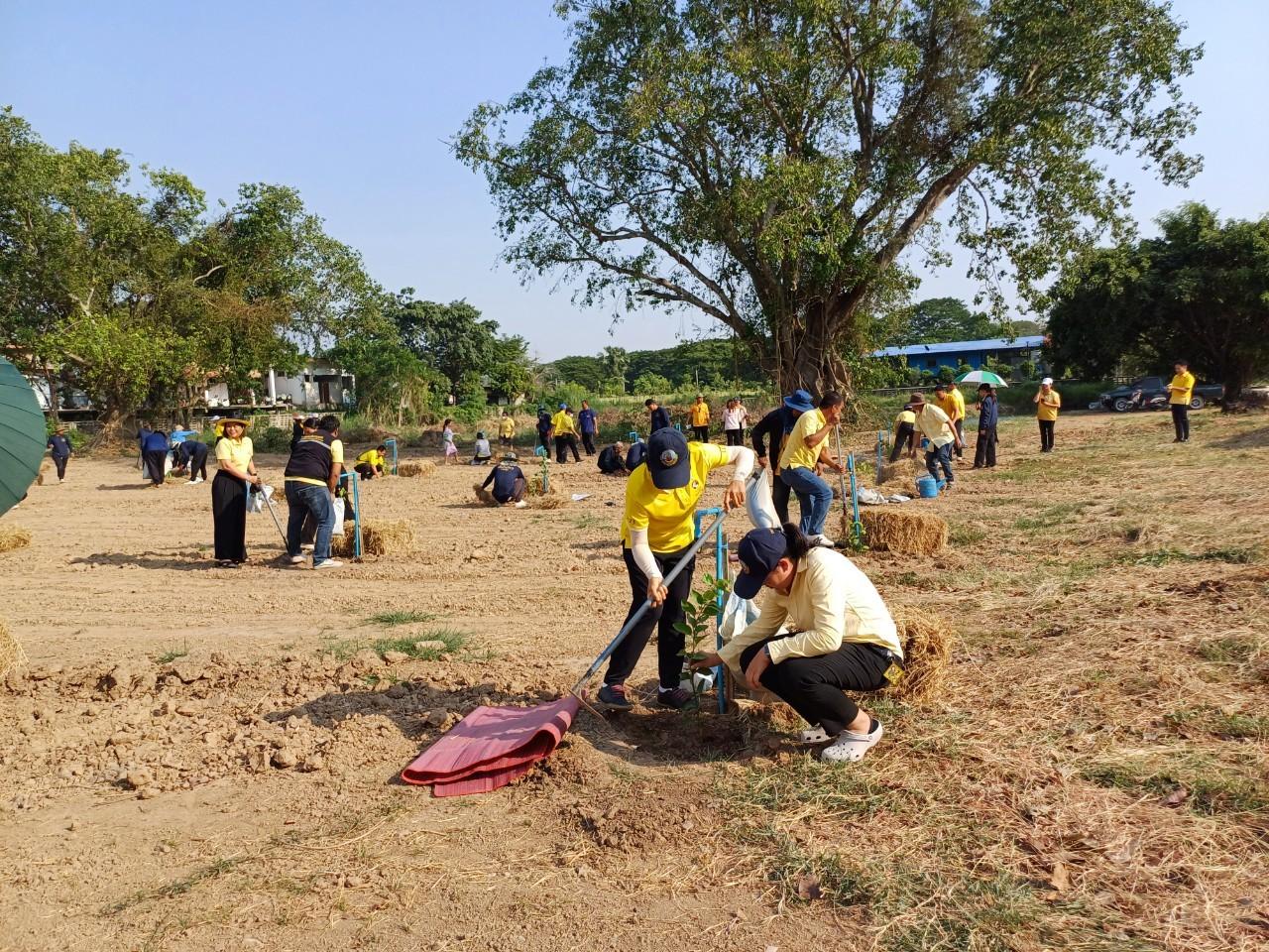 ภาพประกอบที่ 3