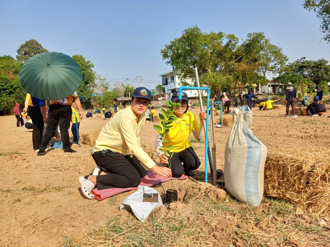 ภาพประกอบที่ 4