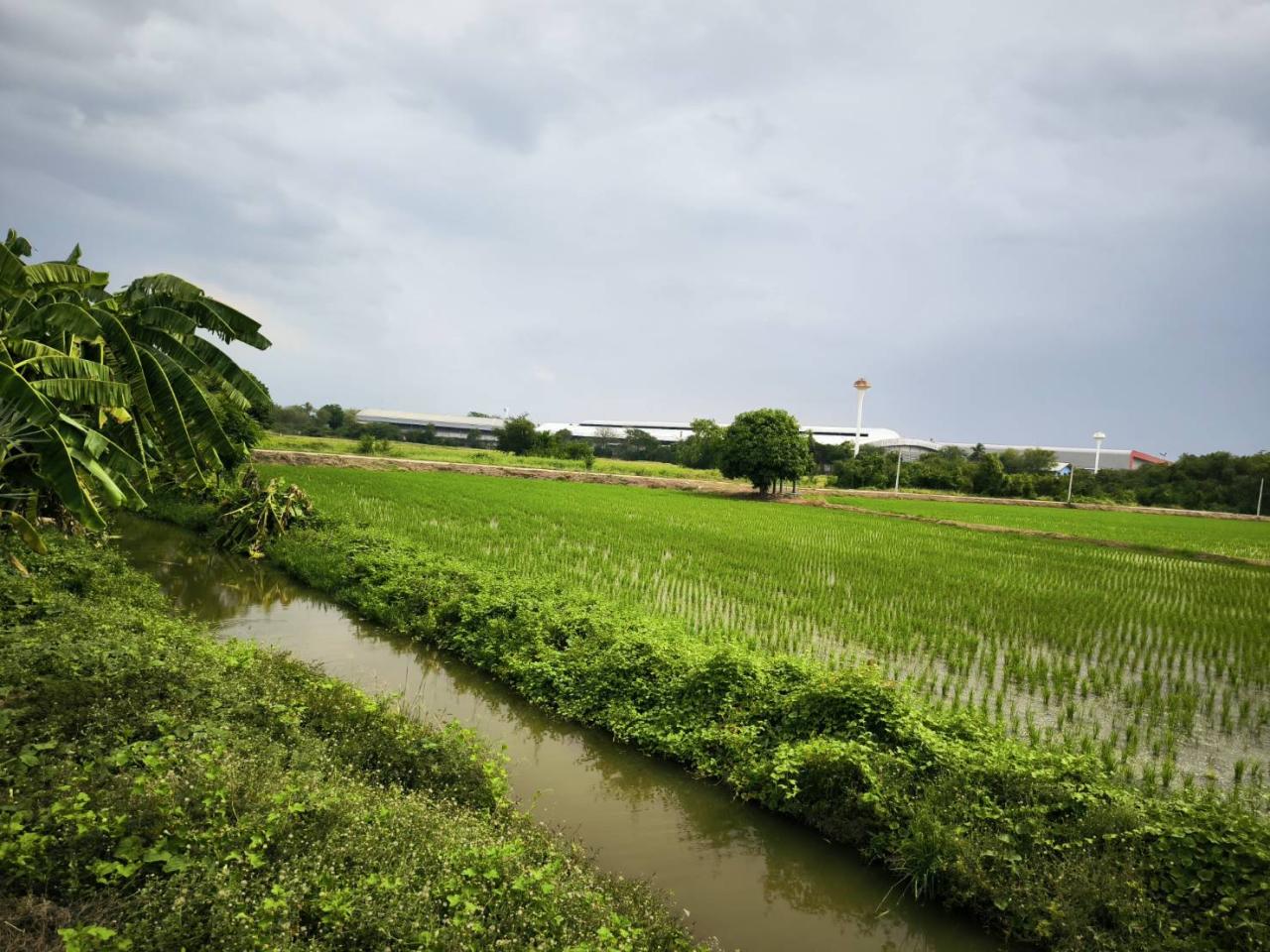 ภาพประกอบที่ 6