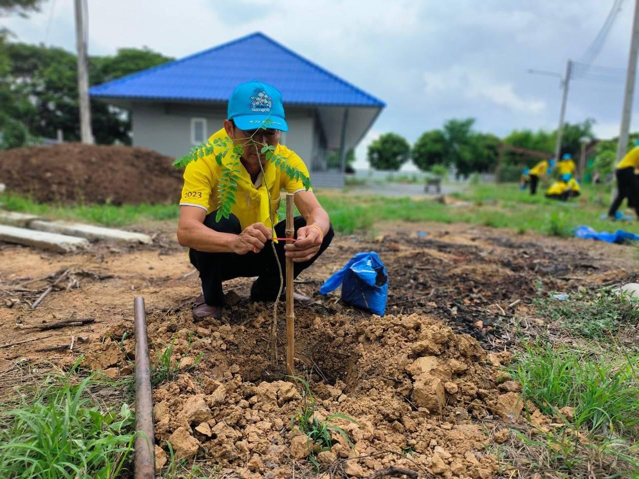 ภาพประกอบที่ 4