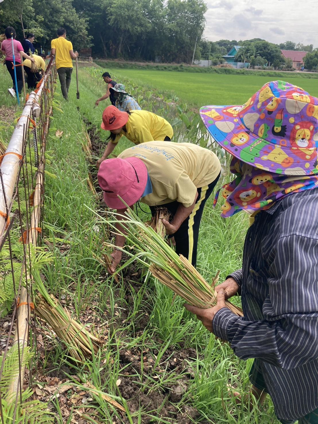 ภาพประกอบที่ 1