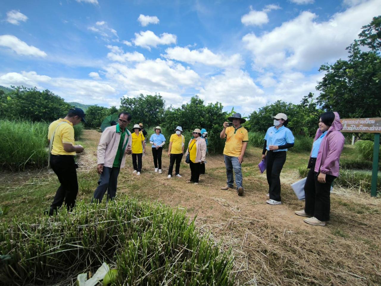 ภาพประกอบที่ 6