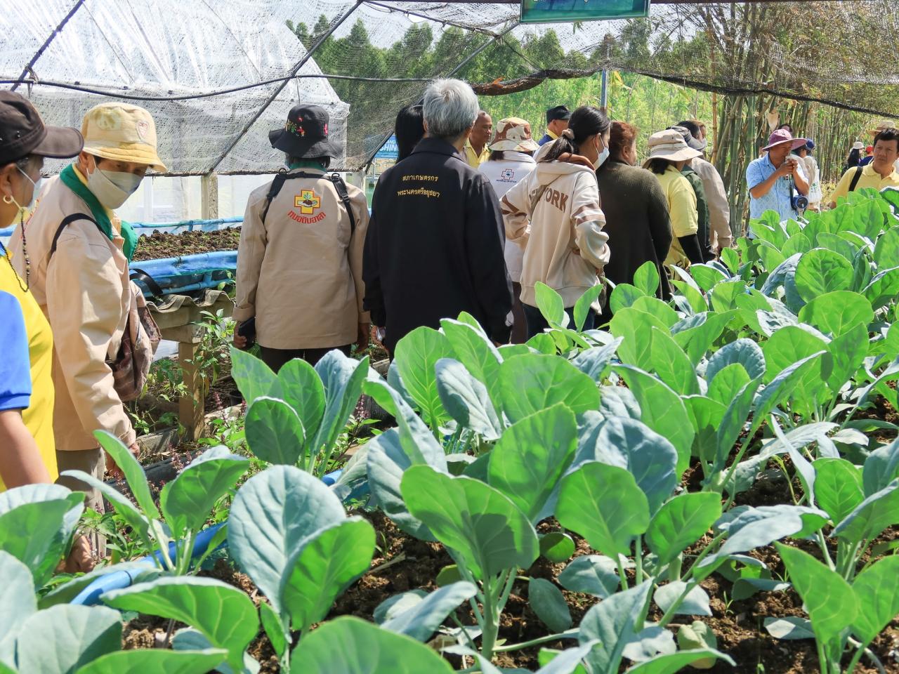 ภาพประกอบที่ 3