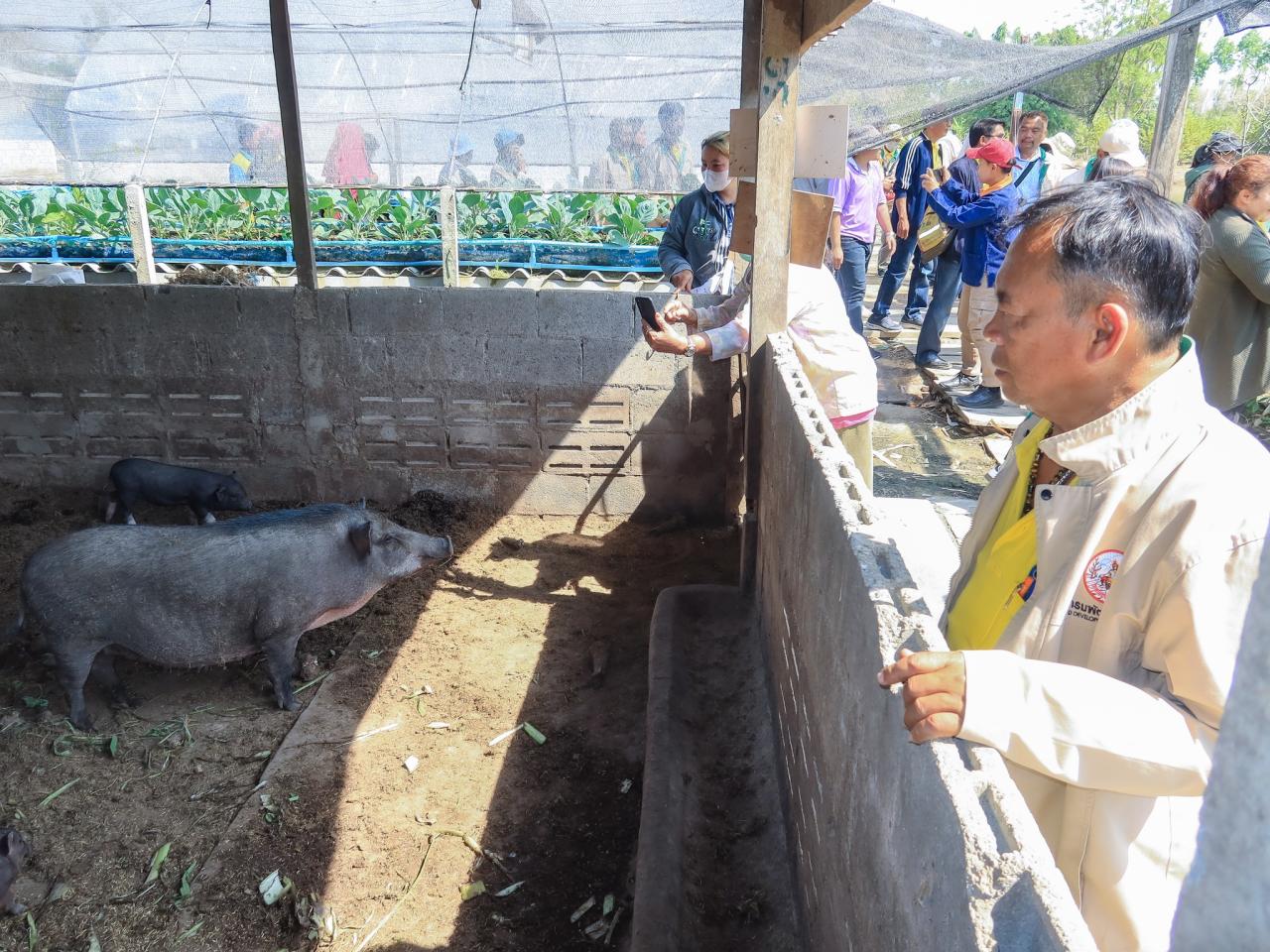 ภาพประกอบที่ 5