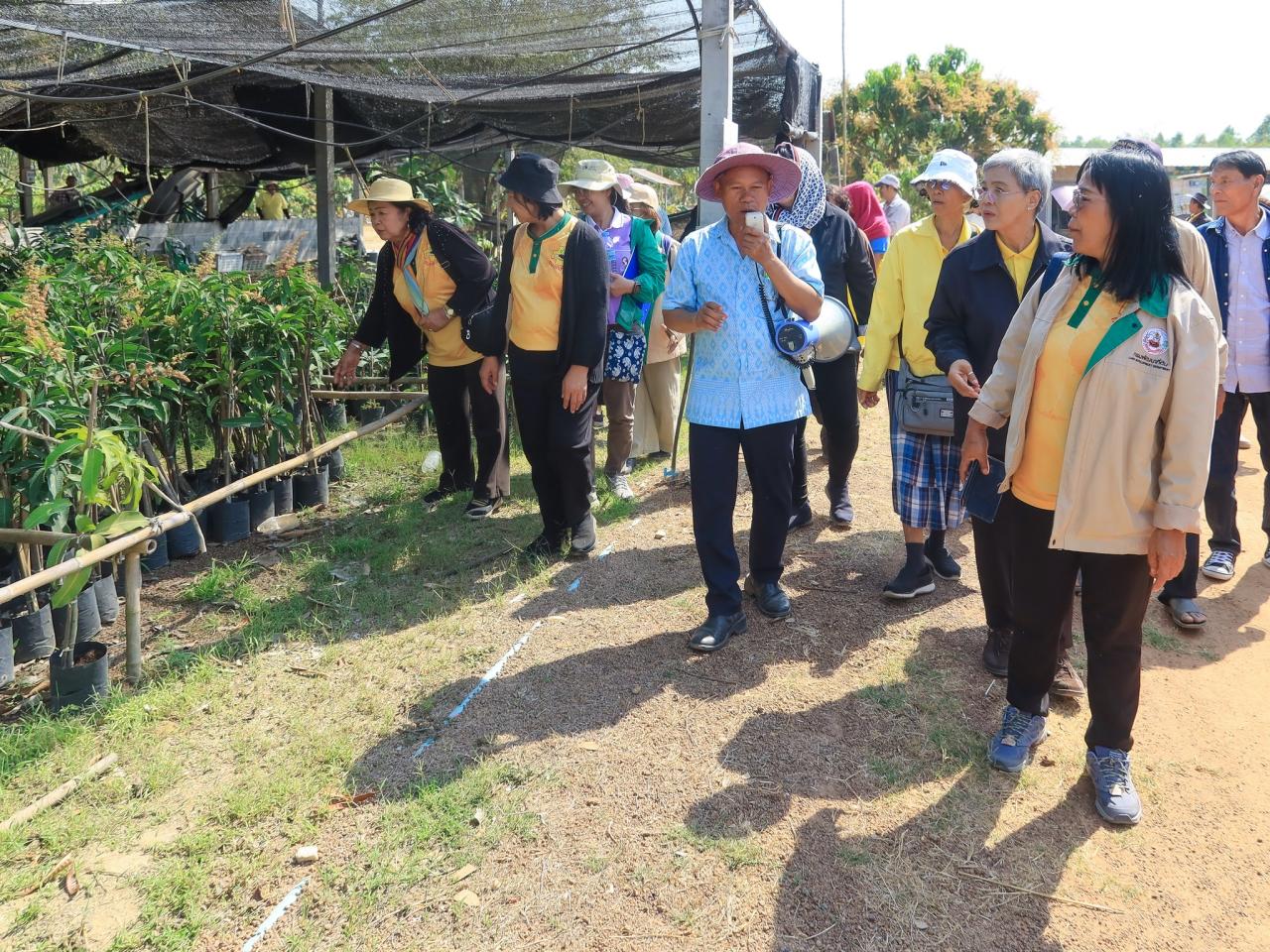 ภาพประกอบที่ 7