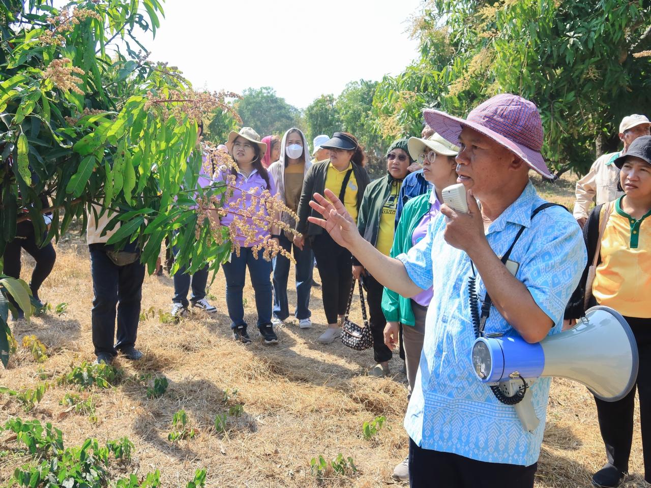 ภาพประกอบที่ 8