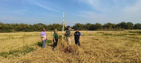 ภาพประกอบที่ 2