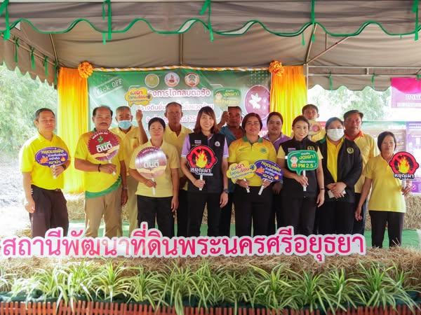 ภาพประกอบที่ 2