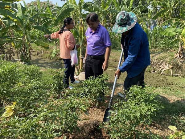 ภาพประกอบที่ 3