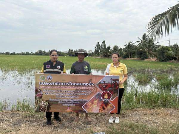 ภาพประกอบที่ 2