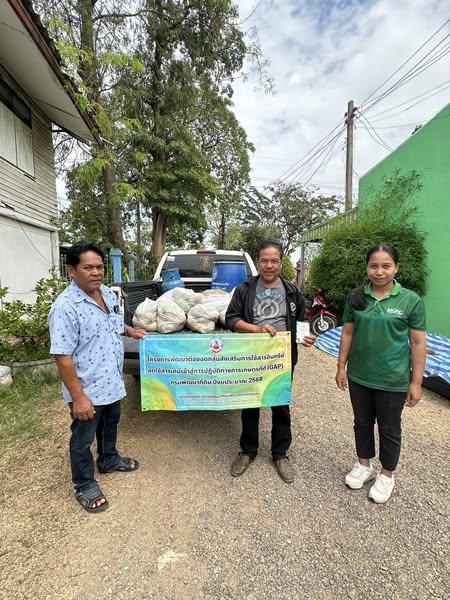 ภาพประกอบที่ 0