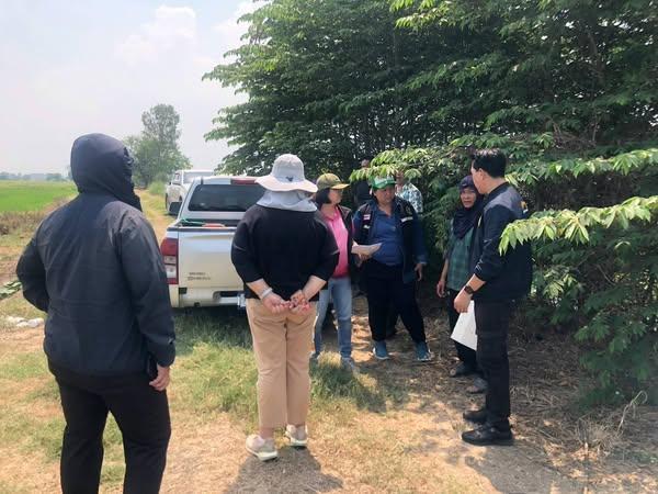 ภาพประกอบที่ 0