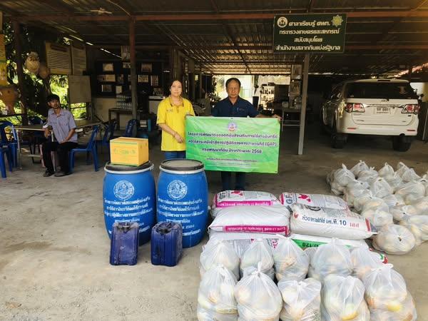 ภาพประกอบที่ 0