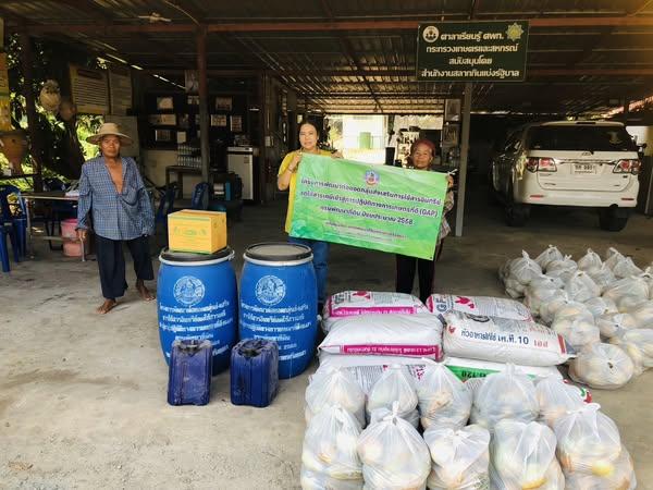 ภาพประกอบที่ 2