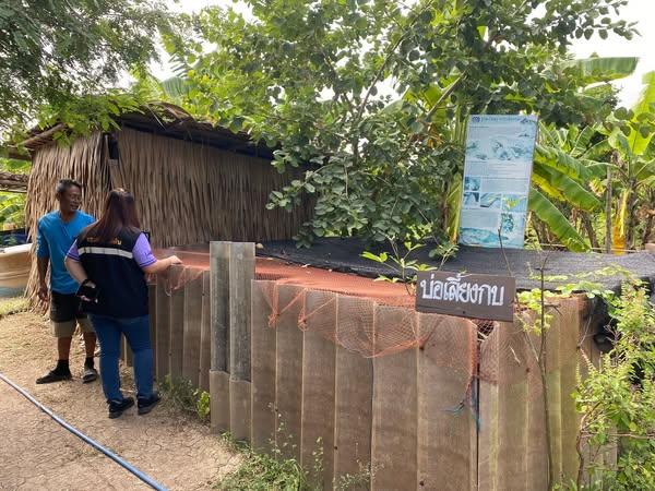 ภาพประกอบที่ 2