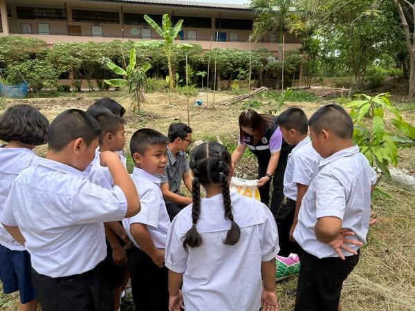 ภาพประกอบที่ 0