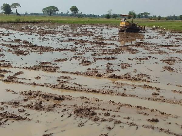 ภาพประกอบที่ 2