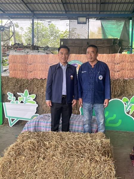 ภาพประกอบที่ 1