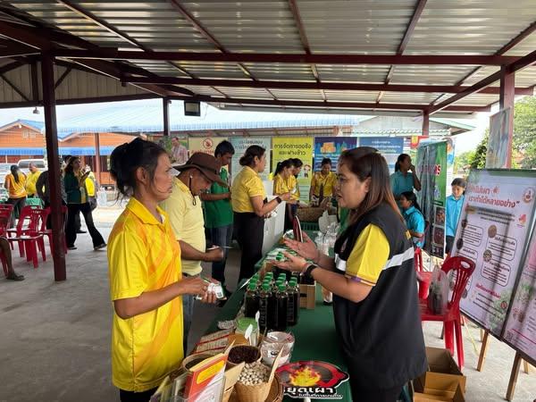 ภาพประกอบที่ 1