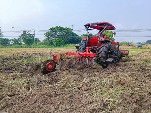 ภาพประกอบที่ 3