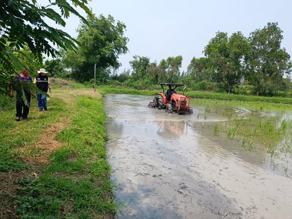 ภาพประกอบที่ 1