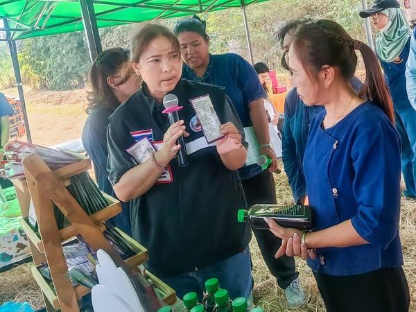 ภาพประกอบที่ 1