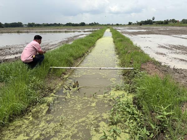 ภาพประกอบที่ 0